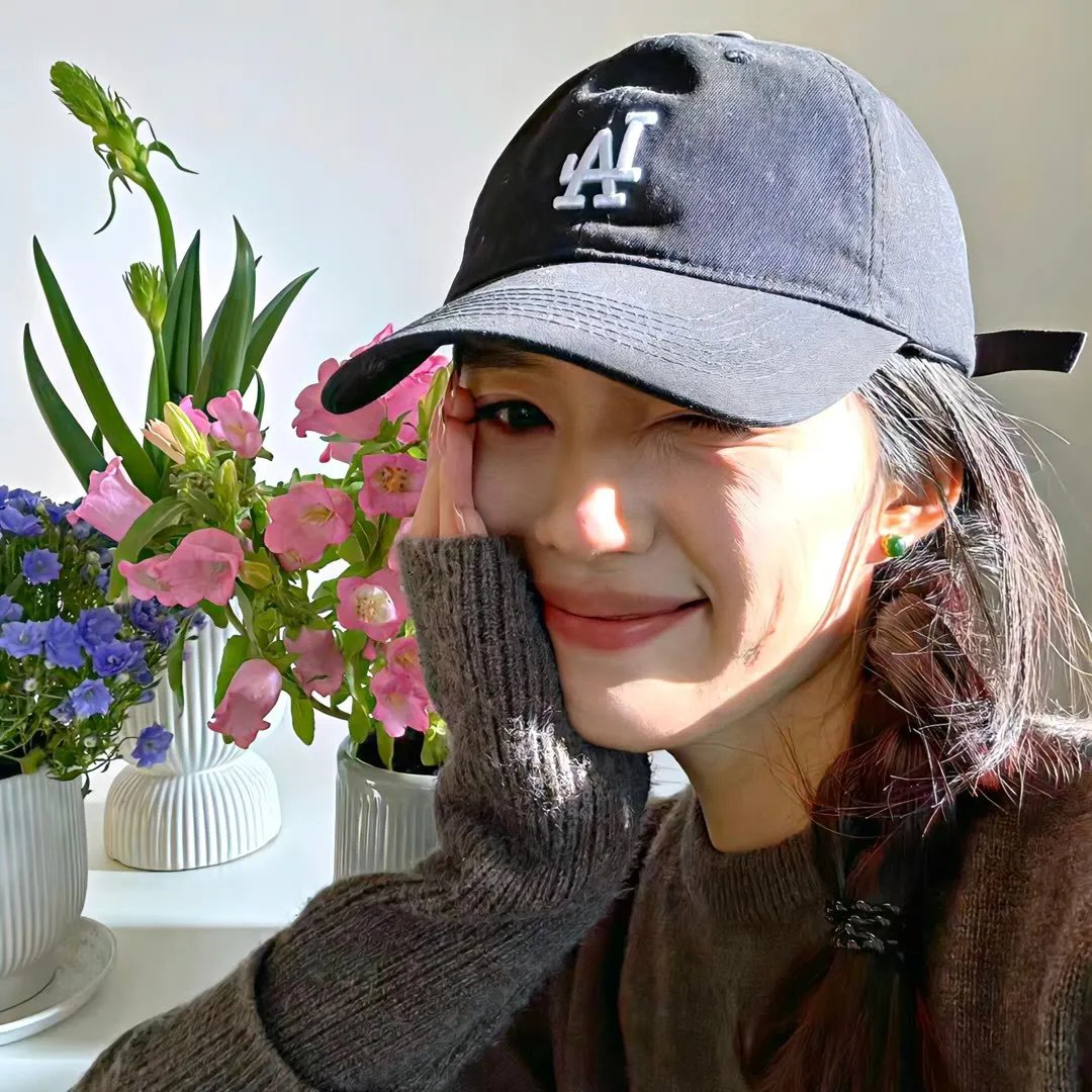 梅花红桃